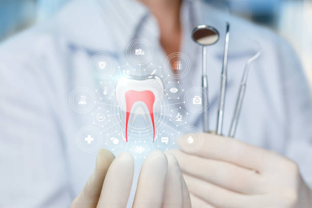 Best Traditional Braces  in Warren, IL